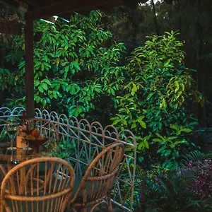 Apartamento Apto Br 6 Min De Provenza, Encanto Natural, Medellín